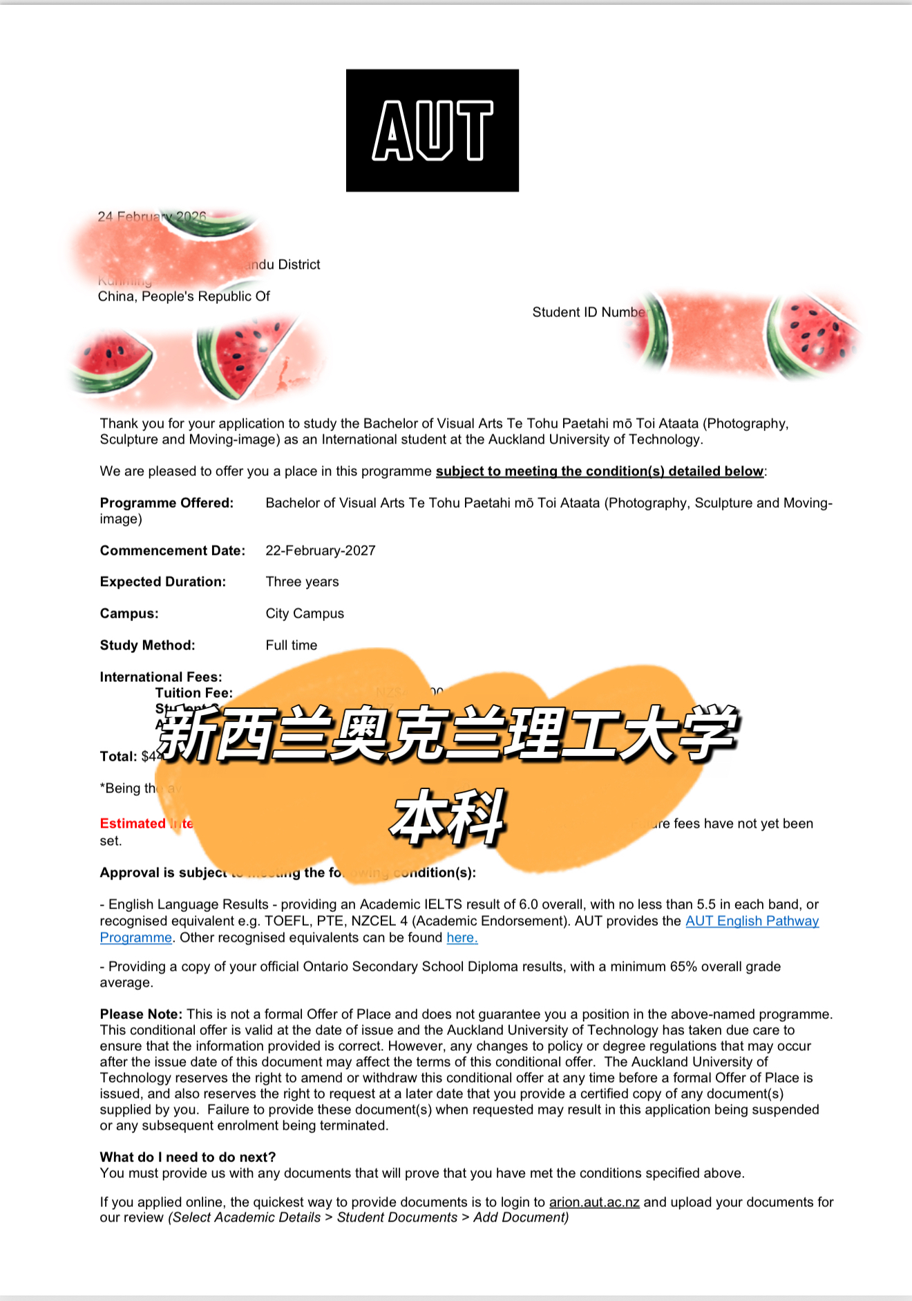 新西兰奥克兰理工大学视觉艺术本科录取书