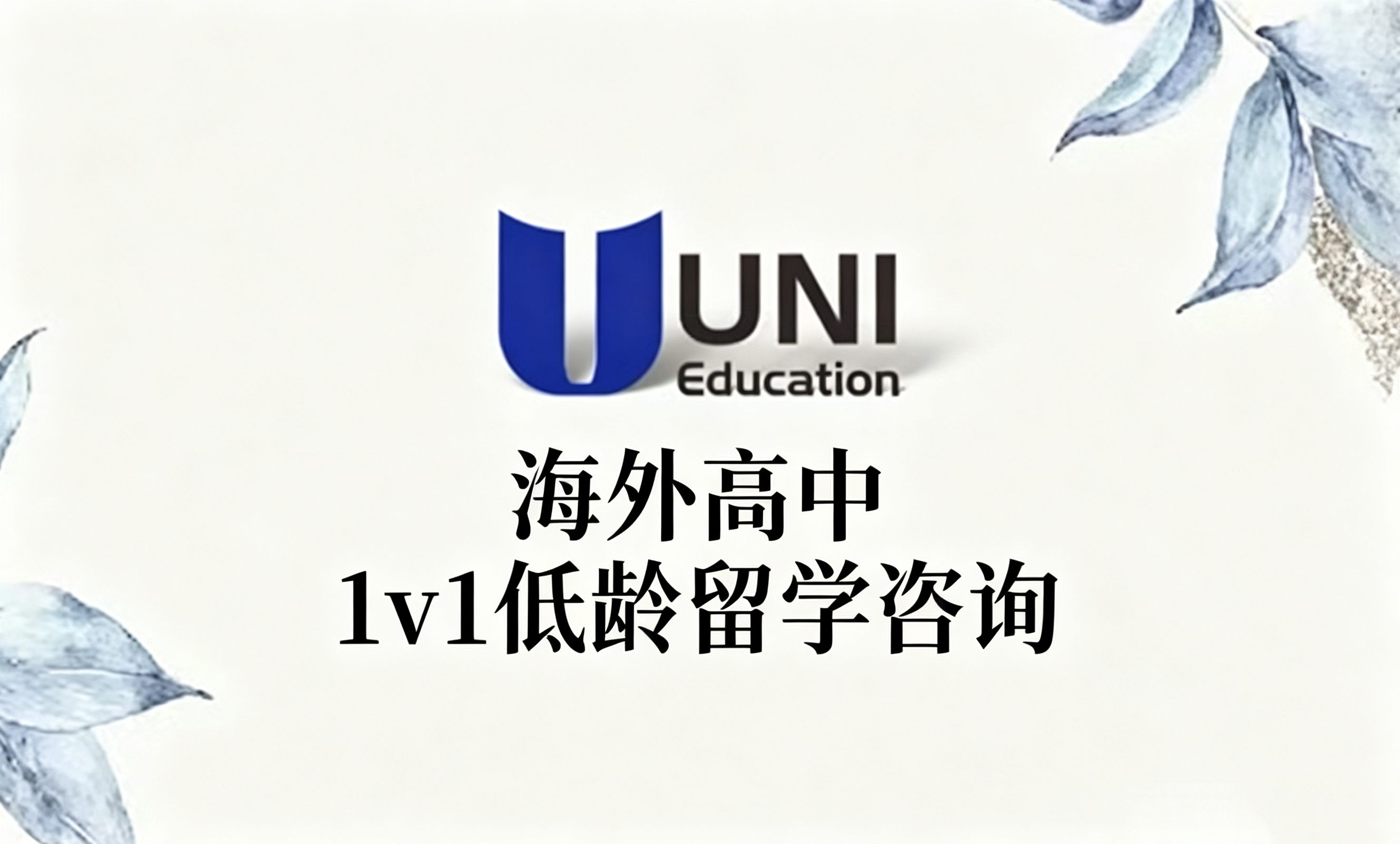 海外高中 1v1低龄留学咨询